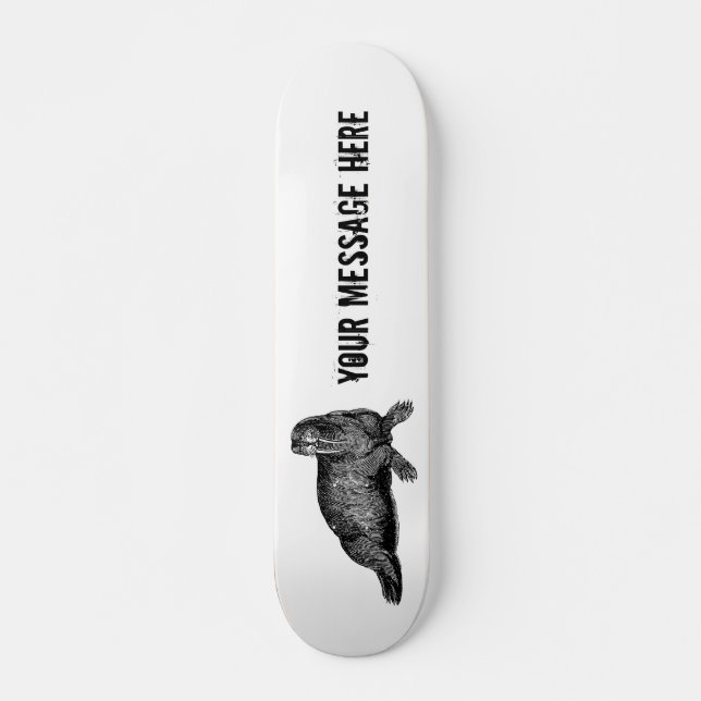 Skateboard Illustration simple de Black Walrus (Devant)