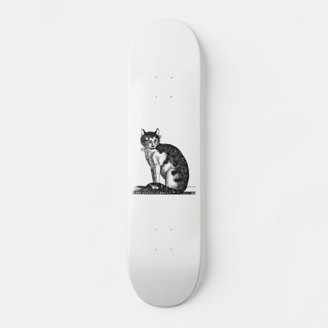 Skateboard Illustration vintage de chat de Chambre de 1800s - (Recto)
