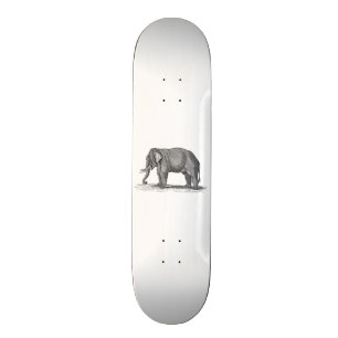 Skateboard Illustration vintage d'éléphant de 1800s -