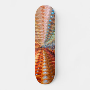 Skateboard Infinité de l'étoile