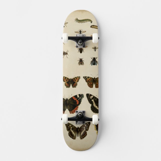 Skateboard Insectes de jardin par Vision Studio (Recto)