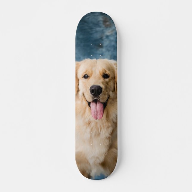 Skateboard Inteligente perro Labrador  (Devant)