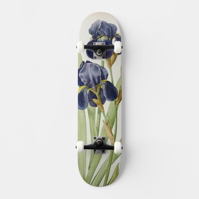 Skateboard Iris Germanica, de "Les Liliacees", 1805 (Recto)