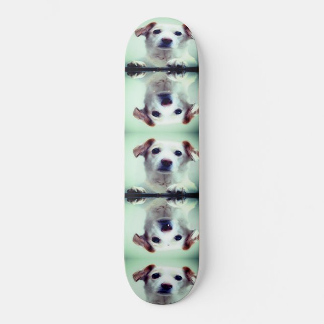 Skateboard Joli chiot (Recto)
