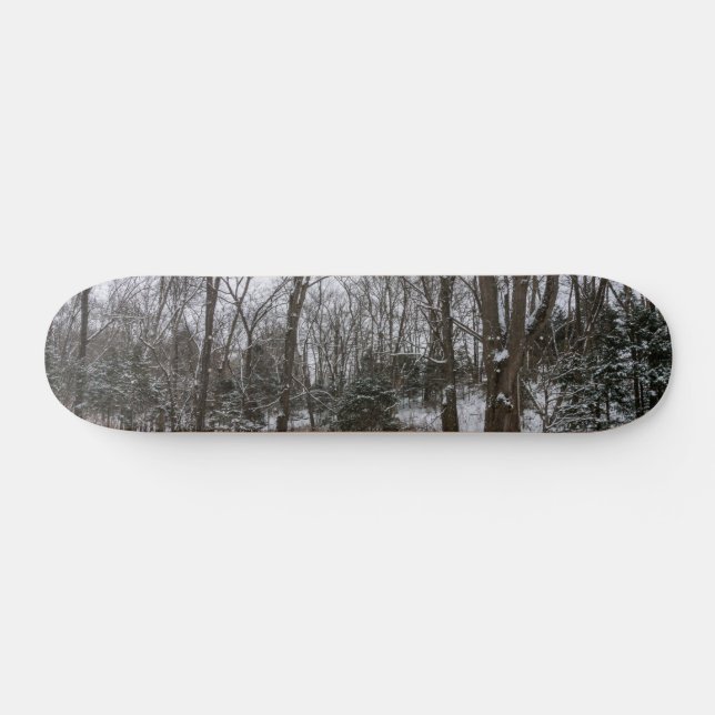 Skateboard Jour de la neige du bois (Horz)