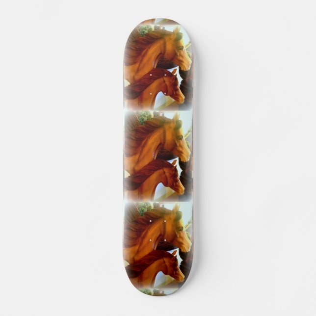 Skateboard juments et poneys (Recto)