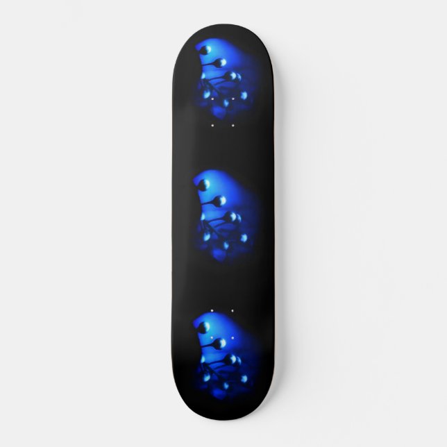 Skateboard Kate (Recto)