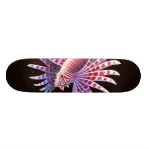 Skateboard La planche à roulettes de Lionfish