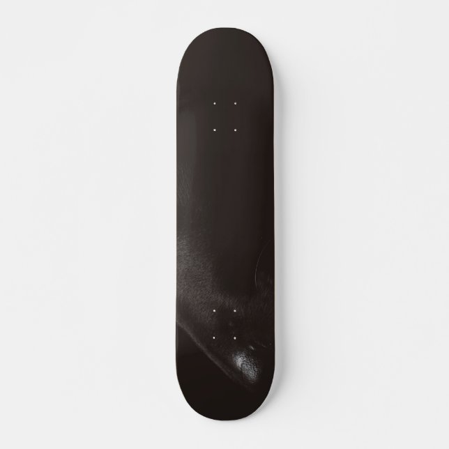 Skateboard laboratoire noir (Devant)