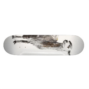 Skateboard Lama non votre maman