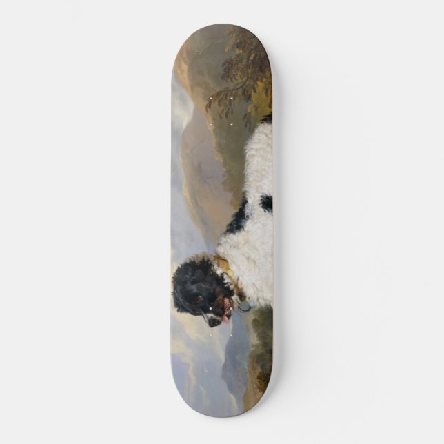 Skateboard Landseer Newfoundland Dog (animal noir et blanc) (Recto)