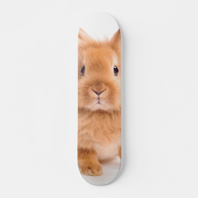 Skateboard Lapin (Devant)