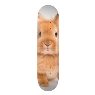 Skateboard Lapin