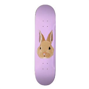 Skateboard Lapin