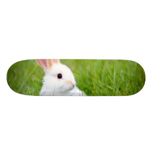 Skateboard Lapin blanc