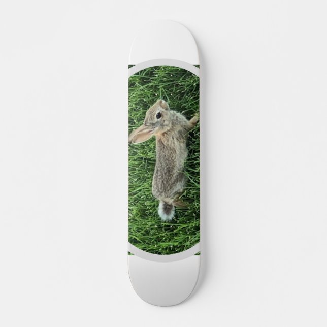 Skateboard Lapin Mignon (Devant)