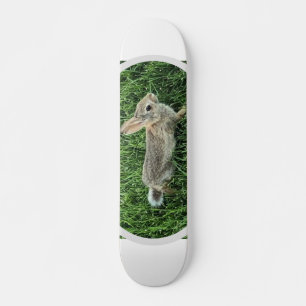 Skateboard Lapin mignon lapin