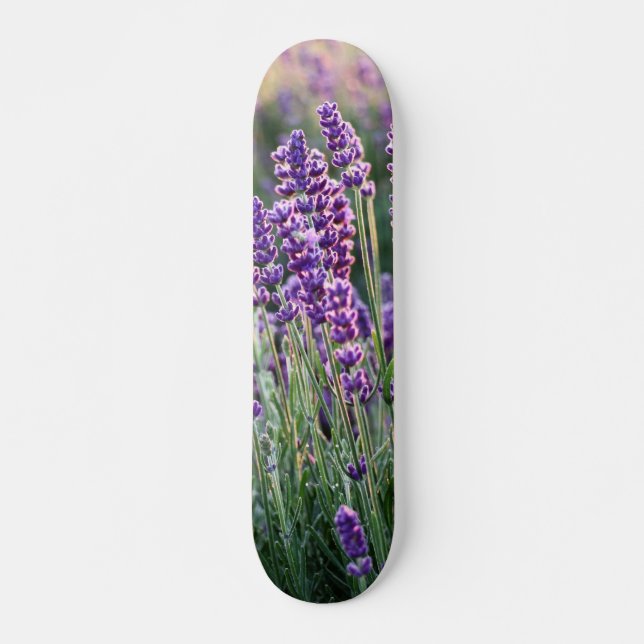 Skateboard Lavande Lusace  (Devant)