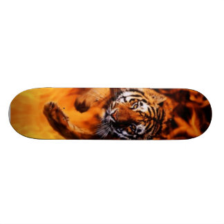 Skateboard Le feu et tigre