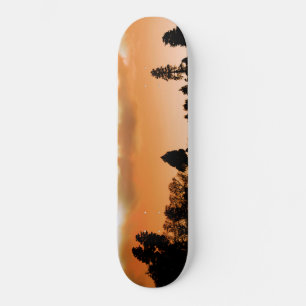 Skateboard Les arbres du soleil