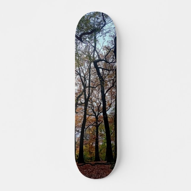 Skateboard Les arbres noirs, dans les bois (Devant)