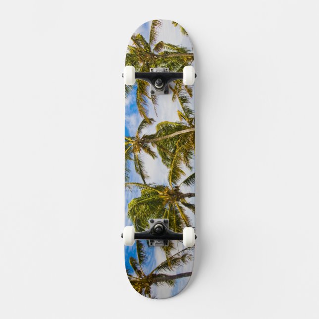 Skateboard Les cocotiers (Cocos nucifera) se balancent dans (Recto)