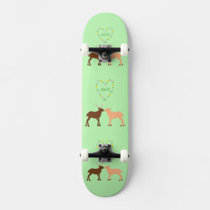 Skateboard Les Deux et Daisy Heart Custom