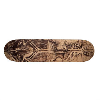 Skateboard Les organes de principe et vasculaire et