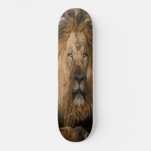 Skateboard lion YELLOW EYES
