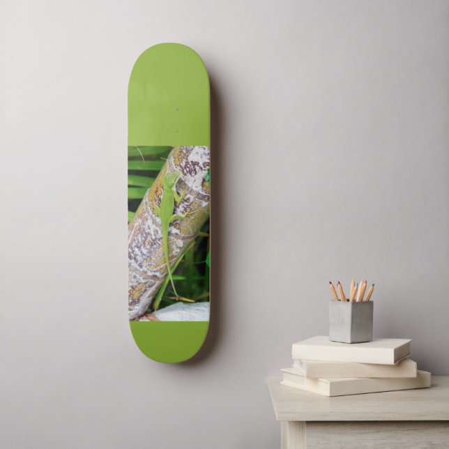 Skateboard Lounge Lizard Green Gecko (Art mural)