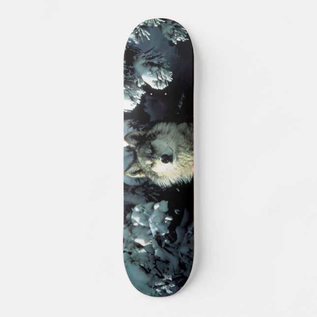 Skateboard Loup de bois nord-américain en neige (Recto)