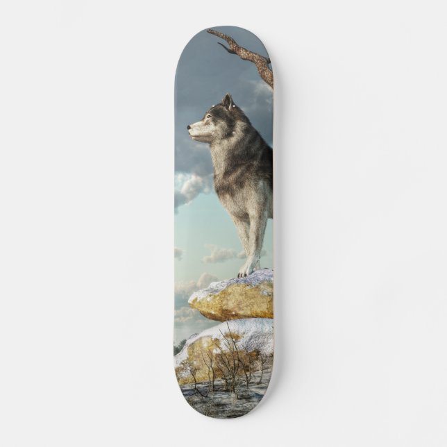 Skateboard Loup solitaire (Recto)