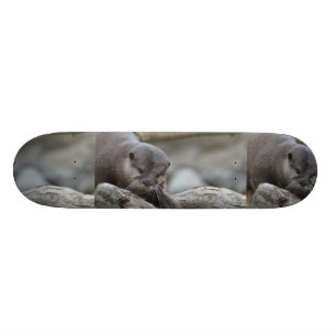 Skateboard Loutre adorable