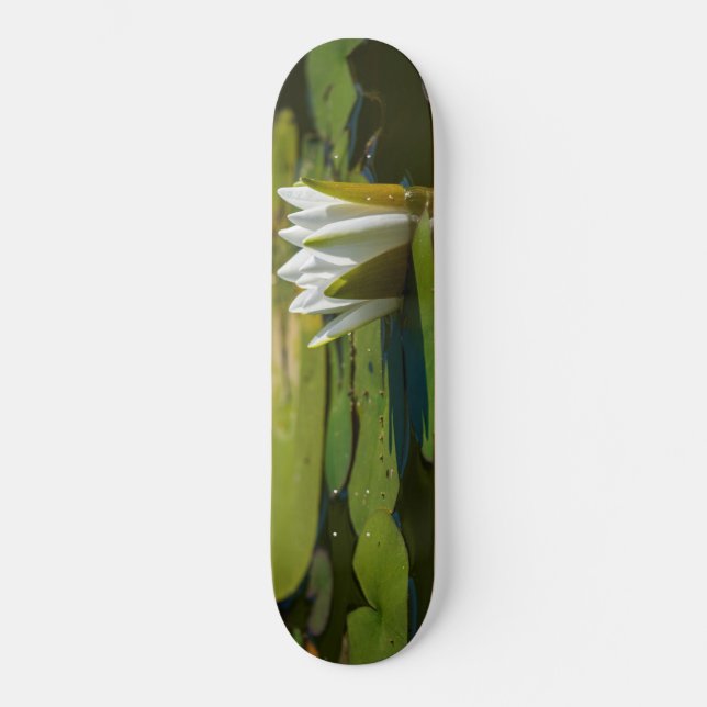 Skateboard Lys d'eau blanche (Recto)