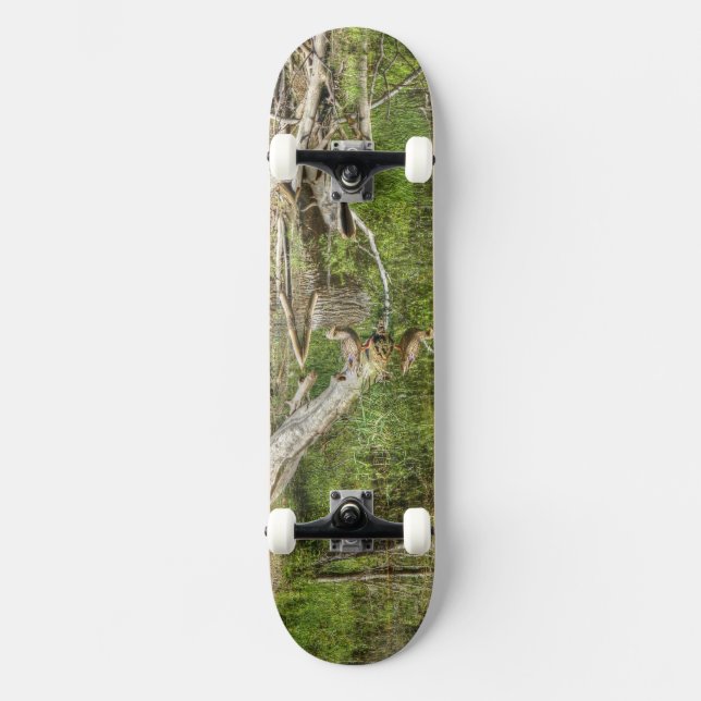 Skateboard Mallard sur Pond (Recto)
