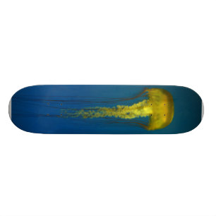Skateboard Méduses