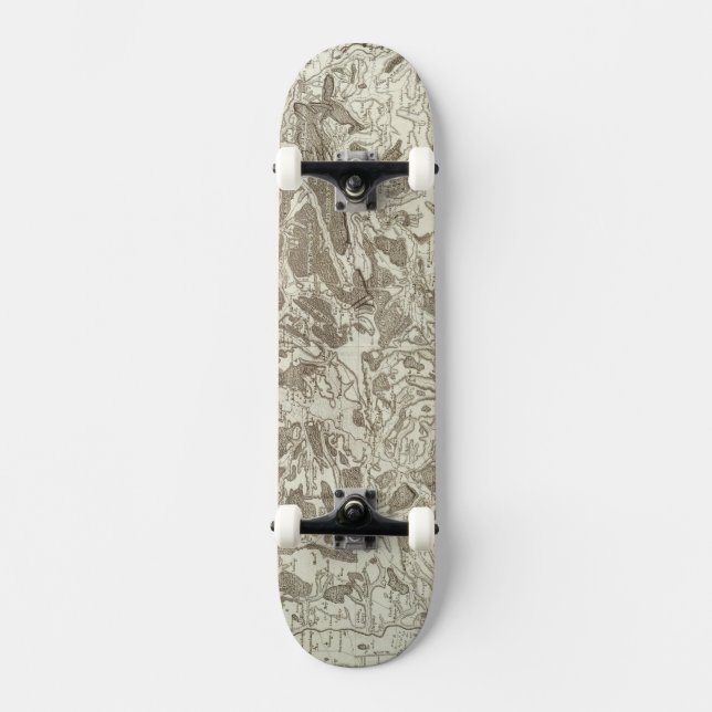 Skateboard Metz (Recto)