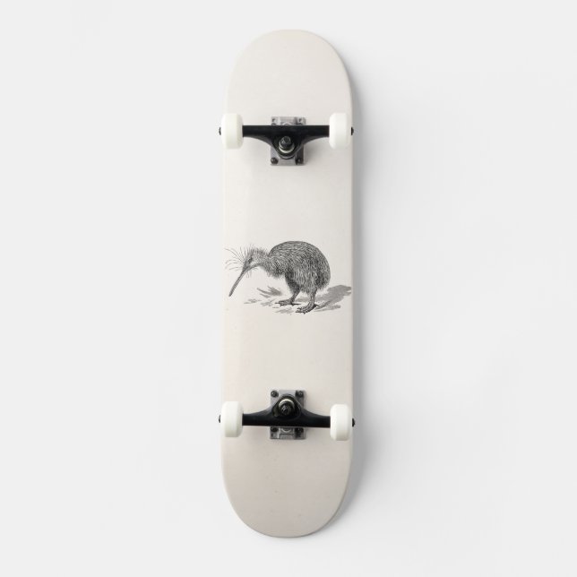 Skateboard Modèle vintage d'oiseaux d'antiquité d'oiseau de (Recto)