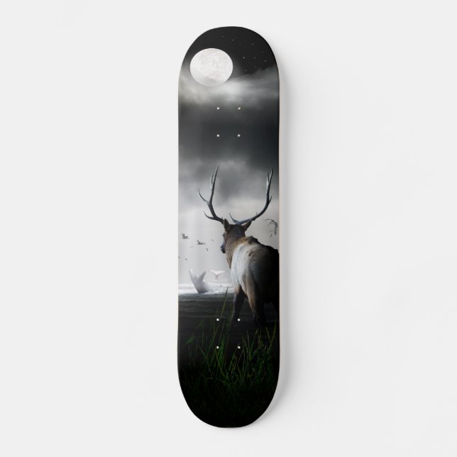 Skateboard Montre de baleine (Recto)