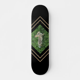 Skateboard Mûre Lapin