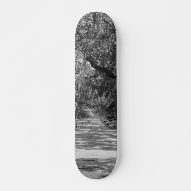 Skateboard Niveaux De Gris De L'Avenue Des Chênes (Devant)