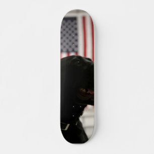 Skateboard Noir du Labrador