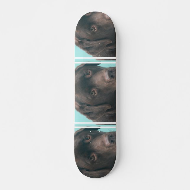 Skateboard non défini (Devant)