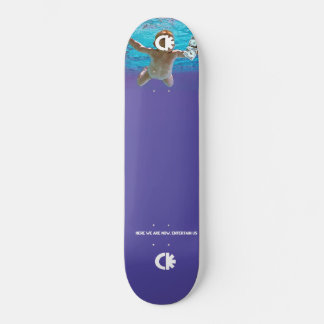 Skateboard nous voici maintenant
