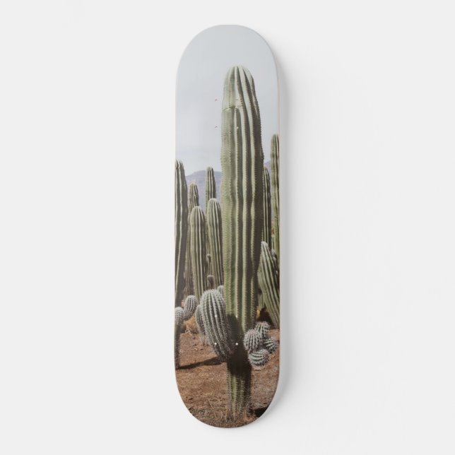 Skateboard Oasis de Cactus #1 #mur #décoration #art (Recto)