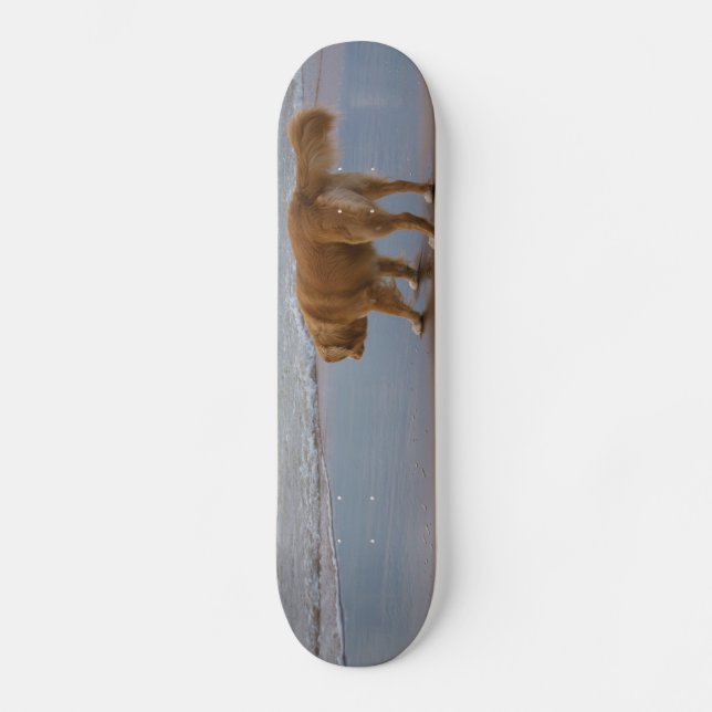 Skateboard Océan de tintement de chien d'arrêt de canard de (Recto)