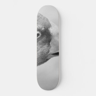Skateboard Oie BW