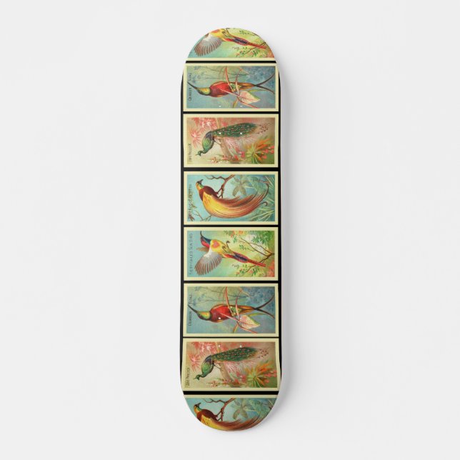 Skateboard Oiseaux vintages 2 (Devant)