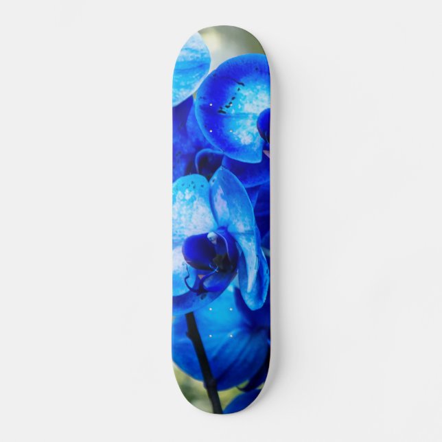 Skateboard Orchidées bleues (Recto)
