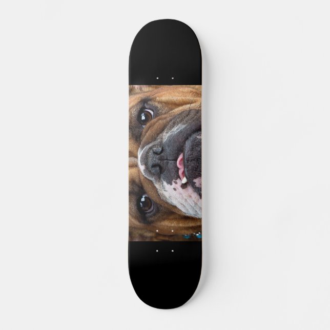 Skateboard Oreillers à lancer de Bulldog anglais (Recto)